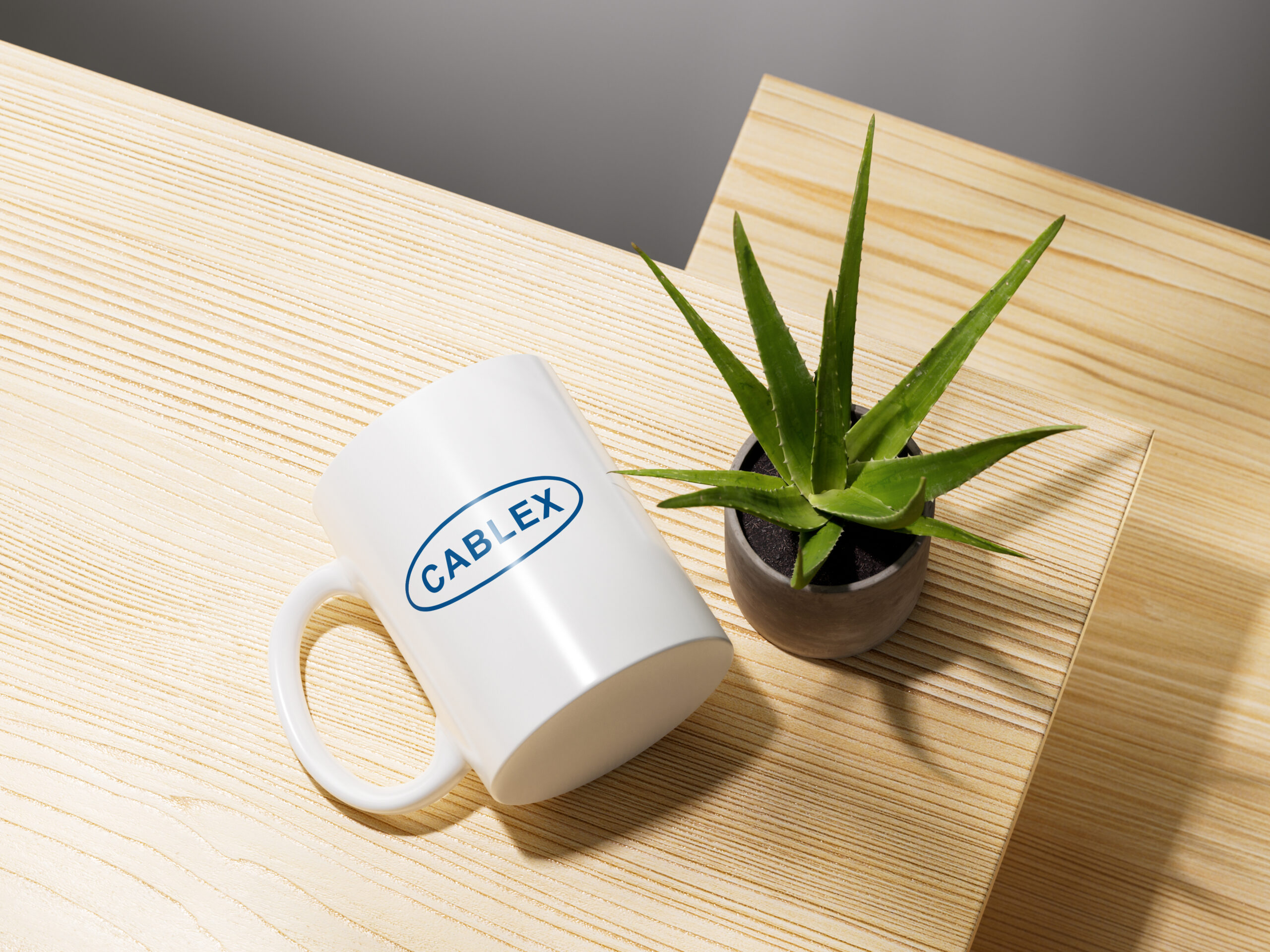 Cablex Visual Identity System